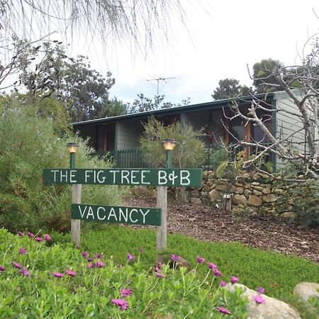 The Fig Tree B&B Baudin Beach Ngoại thất bức ảnh